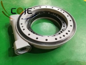 Prilagođeno rješenje za jednostruki crv pogon